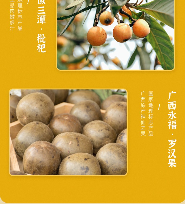 XC317129海王百草堂秋梨枇杷膏130g*2支