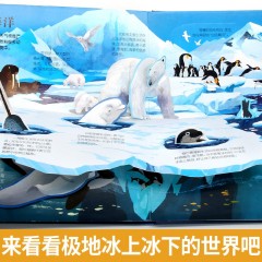 XC317978【图书】立体翻翻书（海洋） 儿童玩具百科图书