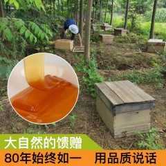 XC12102蜂御医-荆条蜂蜜500g