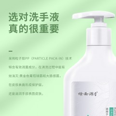 XC19007绿圣源竹盐洗手液400ml*3