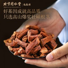 XC521102北京同仁堂健康 青源堂蒲公英根茶300g 婆婆丁根蒲公英茶花草茶养生茶礼品QT000461