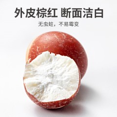 XC52915【方家铺子】红芡实500g/200g/袋装