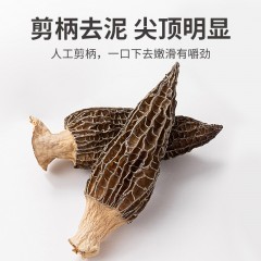 XC52917【方家铺子】羊肚菌80g/铁盒装