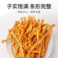 XC52925【方家铺子】蛹虫草180g/50g/瓶装