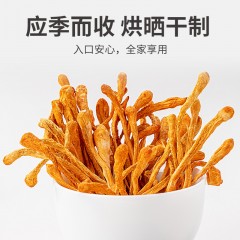 XC52925【方家铺子】蛹虫草180g/50g/瓶装