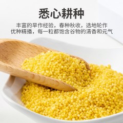 XC52942【方家铺子】有机黄小米500g/米砖