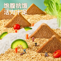 XC26481西瓜味的童话黑麦代餐面包500g/箱