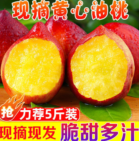 新鮮な桃 5キロ 減農薬 特別栽培の桃 5～8玉 約2kg【2025年発送】（YSGK）B14