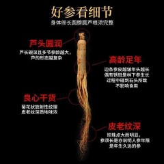 长白山人参8年参共5支生晒参包邮山参白参东北特产泡酒干人参