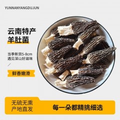 大个头发30朵 云南正宗羊肚菌干货批发正品食用菌当季新货特级头茬菇