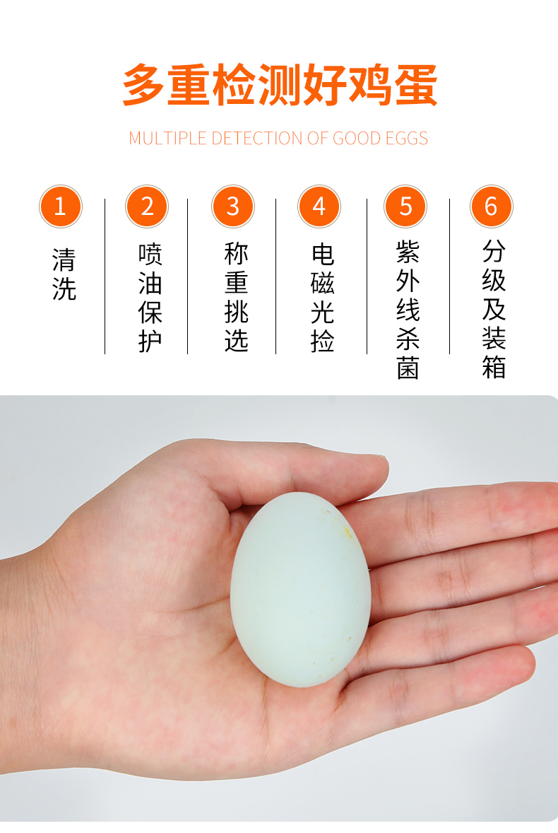 鸡蛋+绿壳蛋详情_13.jpg