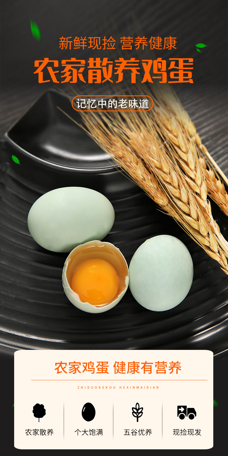鸡蛋+绿壳蛋详情_01.jpg