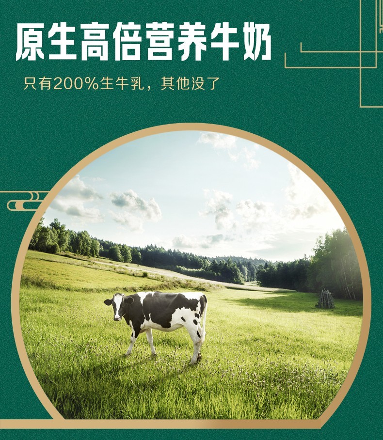 详情图 (7).jpg