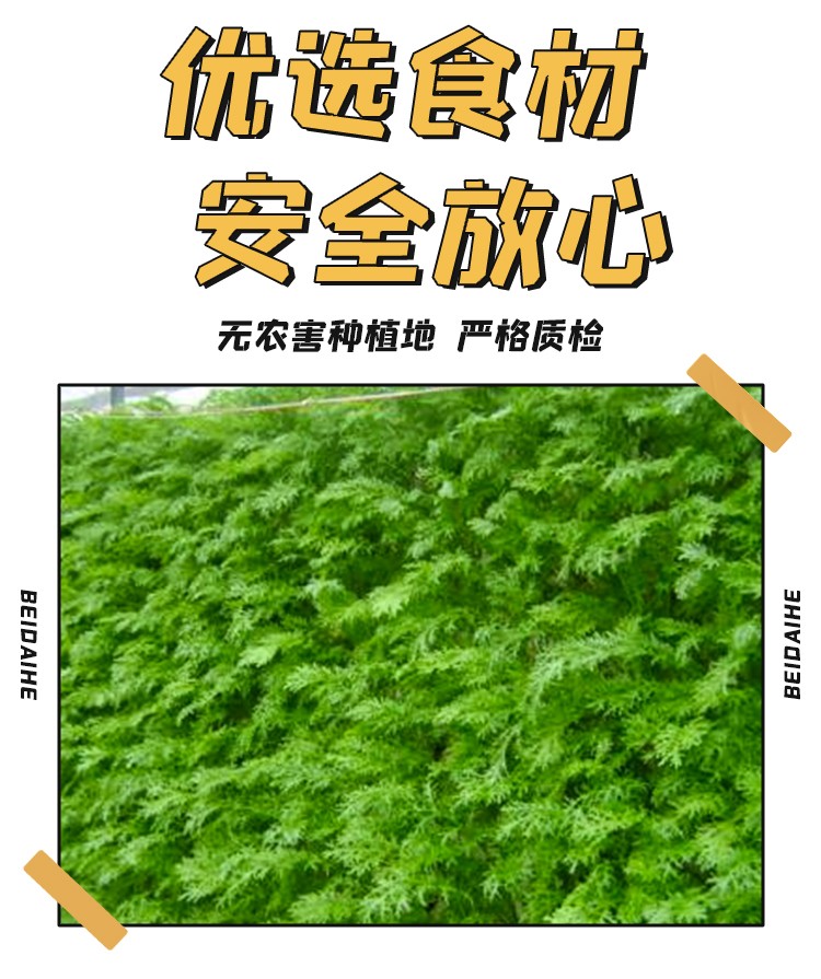 1741cb232d1af62e.jpg
