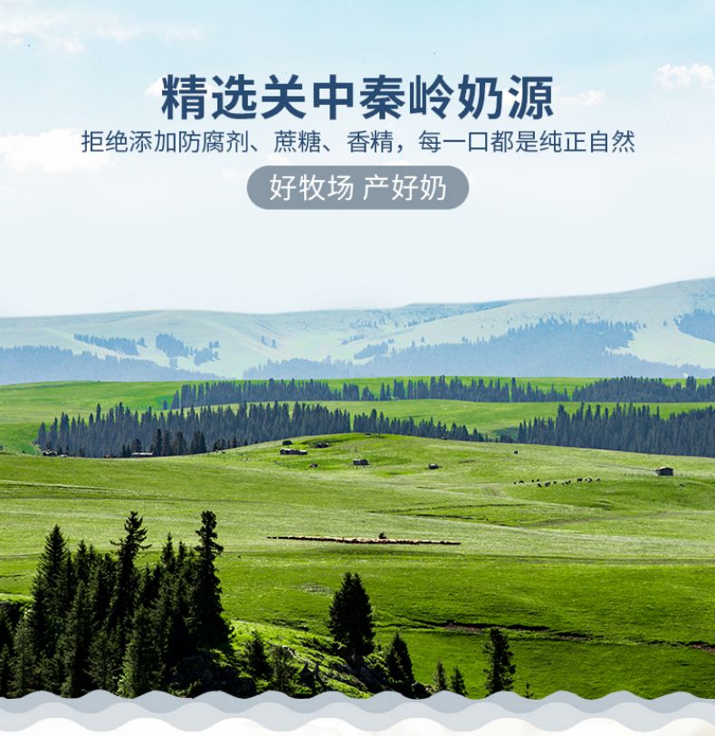 纯羊奶粉优化_03.jpg