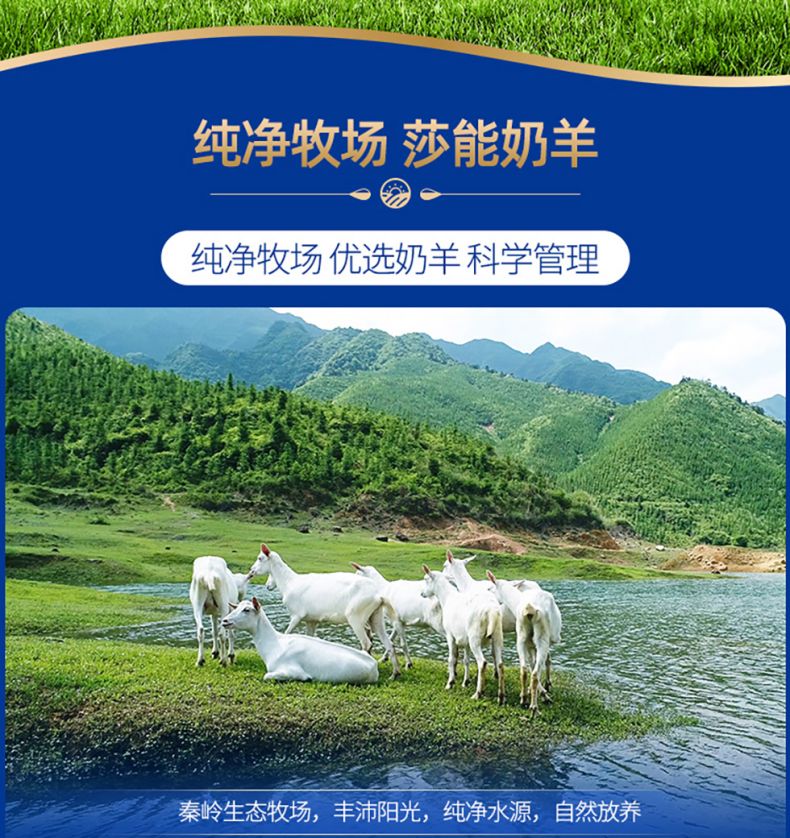 盈青羊奶粉详情页_11.jpg