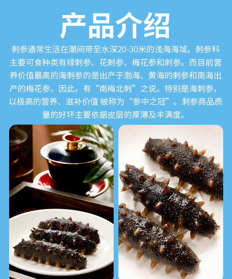 海参2880型_04.png