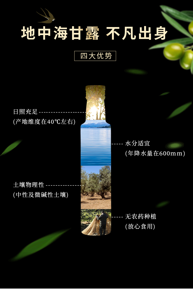 1000ml_05.jpg