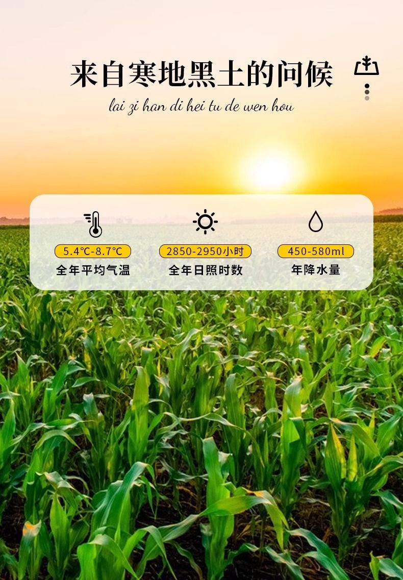 详情图片_06.jpg